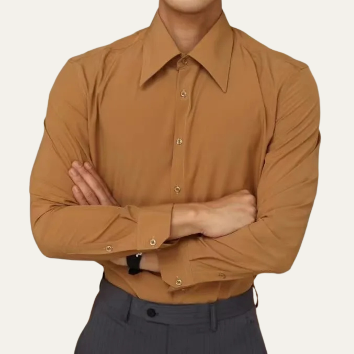 The Mandello Men’s Slim Fit Pointed Collar Trendy Dress Shirt